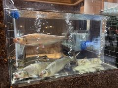 -许家菜(望江店)