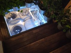 -娜娜家•Nana’Garden (福州道店)