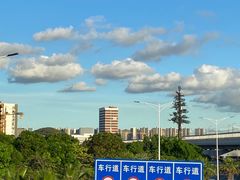 -宝安西湾红树林湿地公园