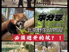 -北京野生动物园