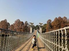 -东湖落雁景区