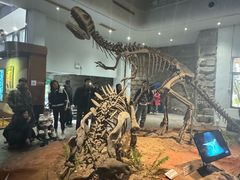 -自贡恐龙博物馆