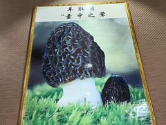 -菌之家·专业纯野生菌火锅·特色炒菌