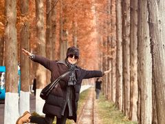 -黄海国家森林公园