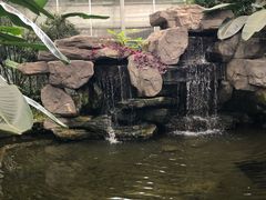 -汤山翠谷生态餐厅