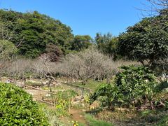 -广州市白云山风景名胜区