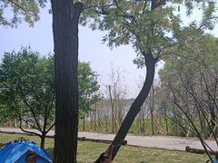 -棋盘山风景区