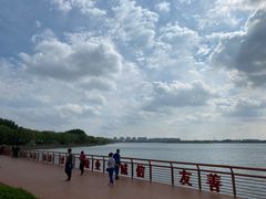-丁香湖公园