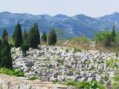 -原山国家森林公园