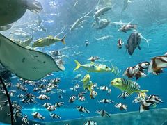 -福州罗源湾海洋世界旅游区