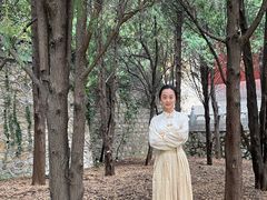 -龙口南山旅游景区