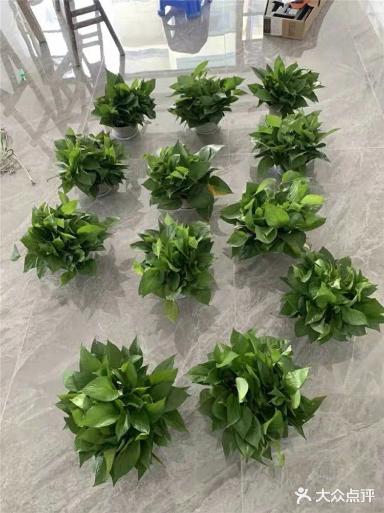 甲醛自测盒使用时的一些注意事项