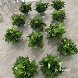 甲醛自测盒使用时的一些注意事项