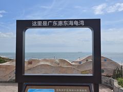 -广东惠东海龟国家级自然保护区