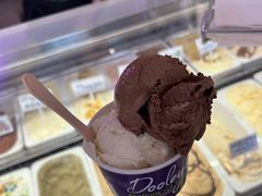 巧克力-Dooley's Premium Ice Cream