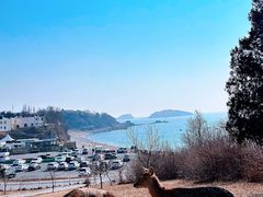 -银沙滩浴场