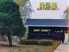 -北京麋鹿生态实验中心