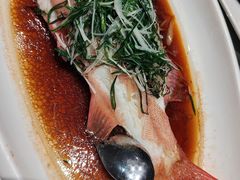 -大东海海鲜酒楼(渔人码头总店)