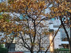 -王府半岛酒店·大堂茶座