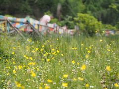 -硗碛藏寨·神木垒景区