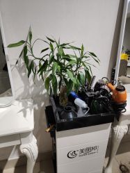 -CP·STUDIO发型工作室