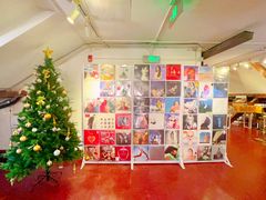 -树懒黑胶唱片店(中山路店)