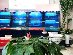 -丈母娘的饭局•新金陵菜(牛首山店)