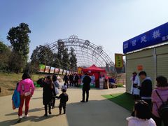 -秀丽东方