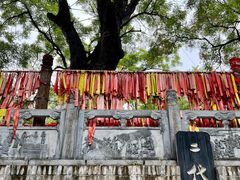 -大槐树寻根祭祖园