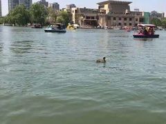 -朝阳公园游乐园