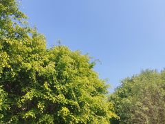 -厦门园林博览苑
