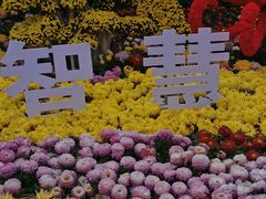 -南山植物园