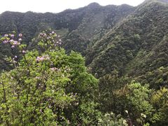 -南山民肴·乡土徽菜(豪辰俪景店)