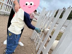 -前小桔亲子创意农场·草莓采摘·露营烧烤