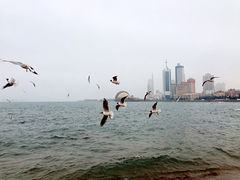 iphone_upload_pic-栈桥景区