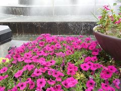 -济南方特东方神画