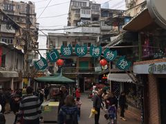 -猫咪博物馆(顶澳仔猫街店)