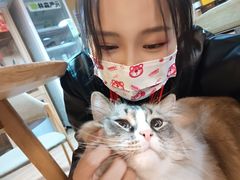 -白兔子密室(长寿路店)