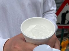 -洪馨椰子