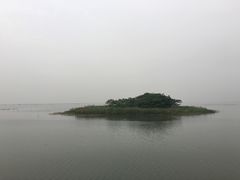 -微山湖红荷湿地景区