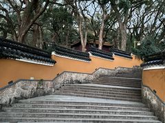 -普陀山风景名胜区-法雨禅寺