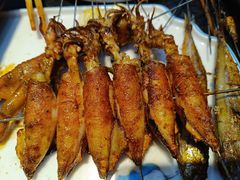 -高家烧鸽子烧烤店63年