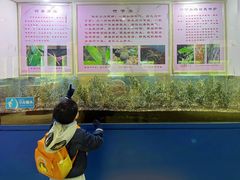 -上海昆虫博物馆