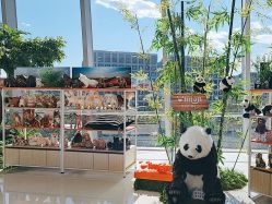 点击看大图 -IMON·HANSA潮玩玩偶毛绒玩具(通州万象汇店)