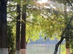 -东莞植物园