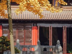 -苏州碑刻博物馆