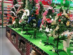 -麦德龙(湖里店)