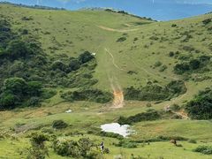 -大姆山草场