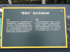 -聚龙湖公园