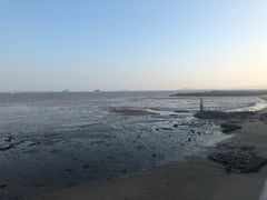 -舒味姜母鸭·沙茶面(湖里店)